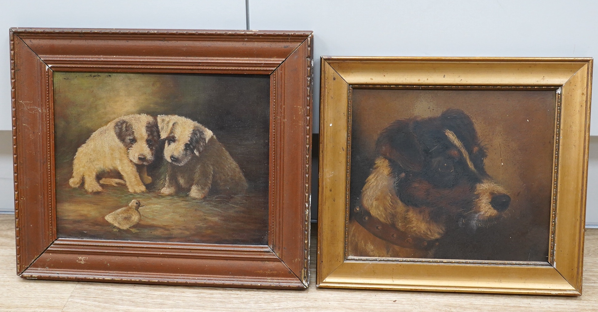 Early 20th century English School, Study of a terrier, unsigned, together with a later study of a chick before two dogs, signed Volle, largest 19 x 24cm. Condition - fair